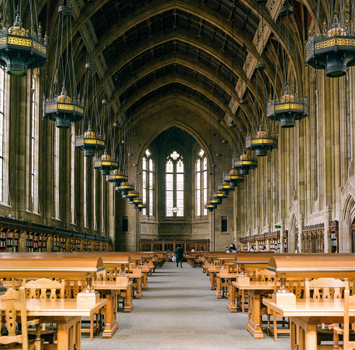 Education & Academia Collection