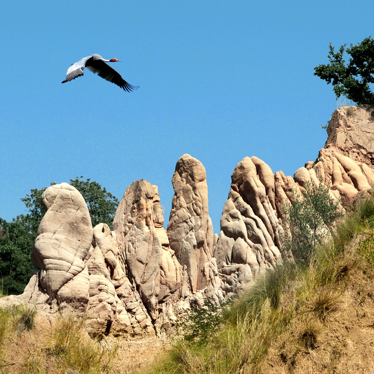 Literature & Fiction Collection